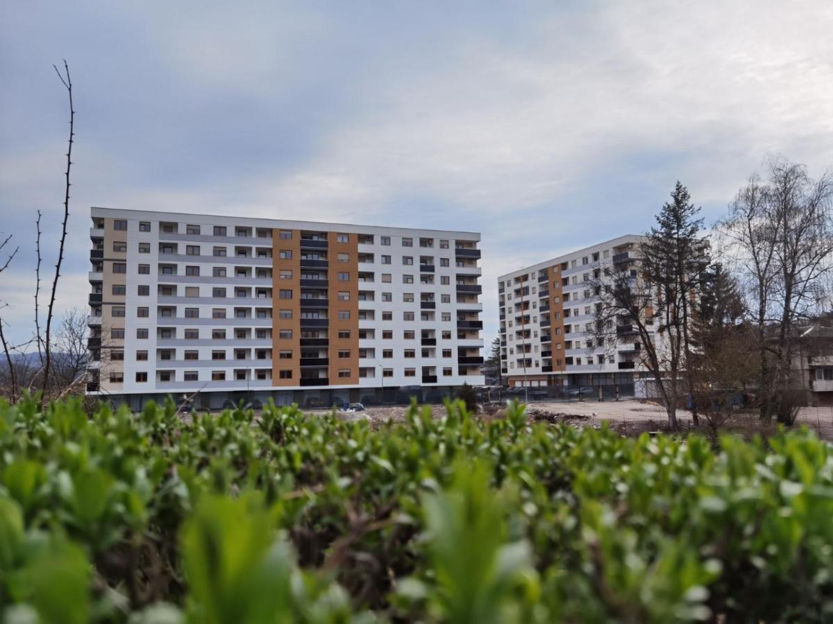 Apartman Krasula 多博伊 外观 照片